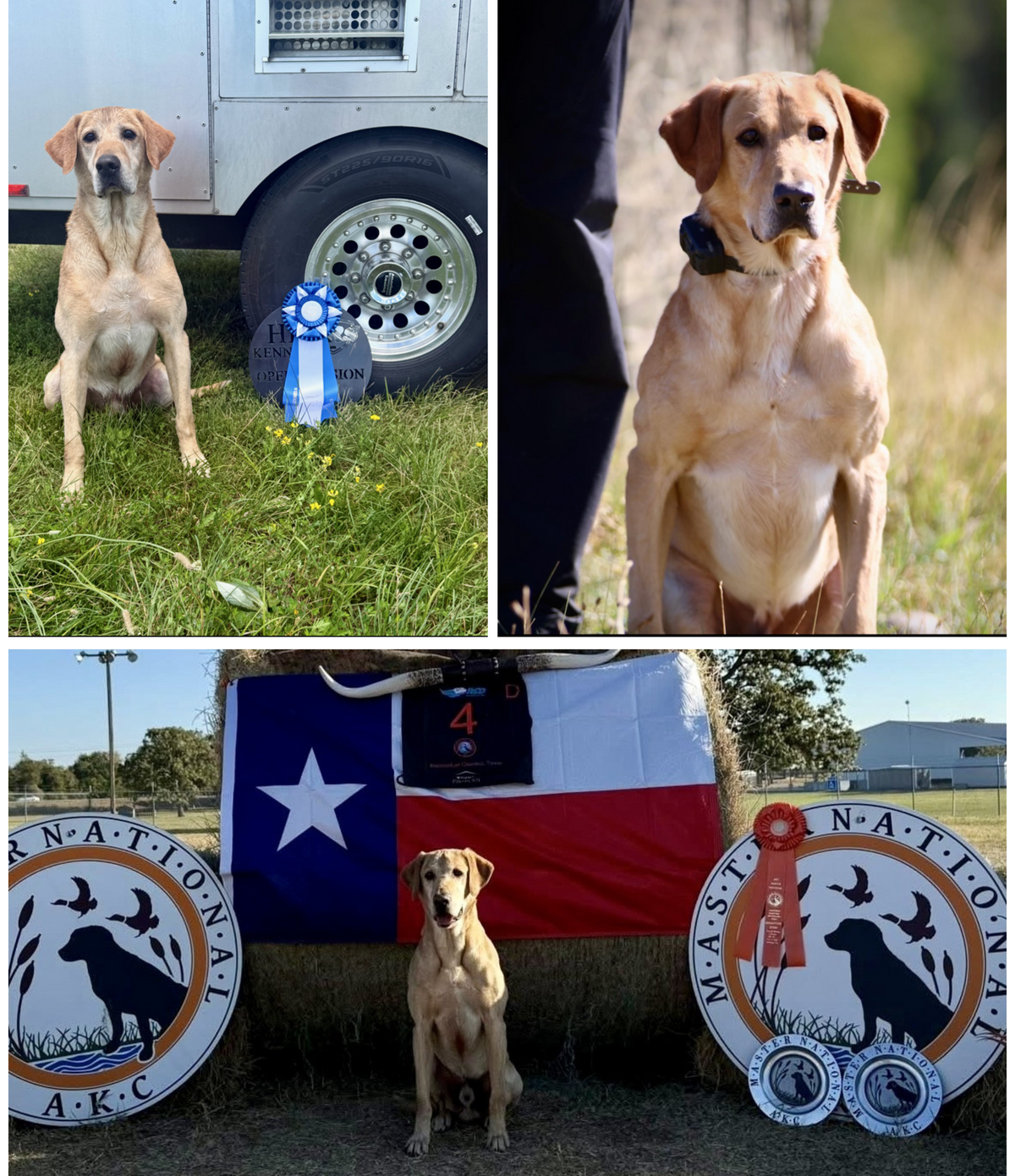 Echo of the NWRC Powerhouse Litter